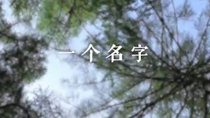 ��ΪȺ�ڰ�ʵ��