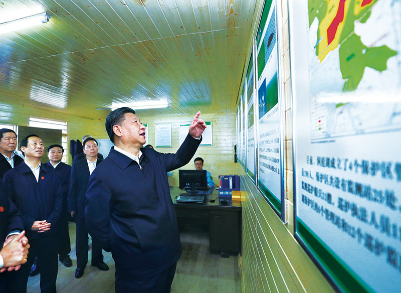 pg�ͽ�Ů��(�ٷ�)����IOS/��׿��/�ֻ���APP����